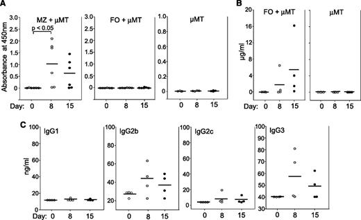 Figure 7. Production of PF4/heparin-specific antibodies by MZ B cells adoptively transferred into μMT mice. (A) Production of PF4/heparin-specific antibodies by MZ B cells, but not FO B cells, adoptively transferred into μMT mice. Partially irradiated μMT mice were adoptively transferred with FACS-sorted wild-type MZ B cells (MZ + μMT) (n = 6), FO B cells (FO + μMT) (n = 6), or no B cells (μMT) (n = 4), and were then immunized with mouse PF/heparin complexes. Sera were collected at the indicated time points after immunization. Total PF4/heparin-specific IgG level was measured by ELISA. The horizontal lines indicate the mean values. Data shown are obtained from 2 independent experiments. (B) Production of NP-specific antibodies by FO B cells adoptively transferred into μMT mice. Partially irradiated μMT mice were adoptively transferred with FACS-sorted wild-type FO B cells (FO + μMT) (n = 4) or no B cells (μMT) (n = 4), and were then immunized with the T-cell-dependent-antigen NP-CGG. Sera were collected at the indicated time points after immunization. NP-specific IgG1 levels were measured by ELISA. The horizontal lines indicate the mean values. (C) PF4/heparin-specific IgG2b and IgG3 production by MZ B cells adoptively transferred into μMT mice. The different isotypes of PF4/heparinspecific antibodies in the sera from (A) were measured by ELISA. The horizontal lines indicate the mean values.