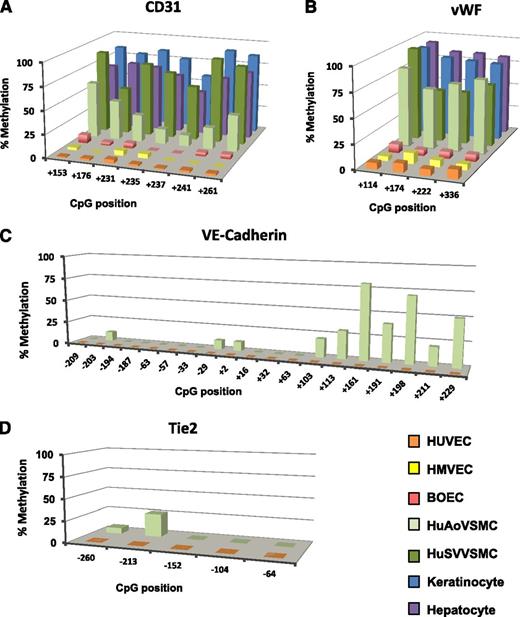 Figure 3. EC-enriched genes are methylated in non-ECs. Promoter methylation of the EC-enriched genes (A) CD31, (B) vWF, (C) VE-cadherin, and (D) Tie-2. EC types HUVEC (orange), HMVEC (yellow), and BOEC (red) are compared with non-EC types AoVSMC (light green), SVVSMC (dark green), keratinocytes (blue), and hepatocytes (purple). BOECs exhibit a cobblestone shape, have high proliferative capacity, take up acetylated low-density lipoprotein, and are uniformly positive for several endothelial markers.14 BOECs are expanded from small numbers of cells after long-term culture and are distinct from the early outgrowth colonies obtained after 4 to 7 days in culture, as reviewed by others.47,48 (A and B) Quantitative pyrosequencing and (C and D) single-strand analysis (n ≥ 15) of bisulfite-converted DNA was used to assess methylation. Extensive mixing studies of in vitro methylated or mock-methylated templates revealed that pyrosequencing a polymerase chain reaction product cannot distinguish 0% from 5% methylation or 100% from 95% methylation. Single-strand plasmid clone analysis indicates that CpG sites are not methylated in ECs for these genes.