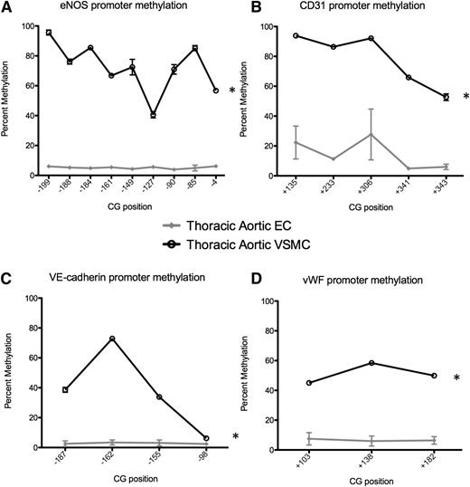 Figure 4. Differential promoter DNA methylation of EC-enriched genes in mouse EC and VSMC. Promoter methylation was determined using pyrosequencing of bisulfite-converted DNA. The promoters of (A) eNOS, (B) CD31, (C) VE-cadherin, and (D) vWF are unmethylated in ECs (gray) and densely methylated in VSMCs (black). Data are presented as the mean ± standard error of the mean (n = 3-7 mice studied per gene). *Statistical significance between the 2 cell types (P < .001). Previous studies by us show that the 9 CpG sites in the murine eNOS promoter (−199/−4) are completely unmethylated in ECs, whereas complete methylation was observed in AoVSMCs.7