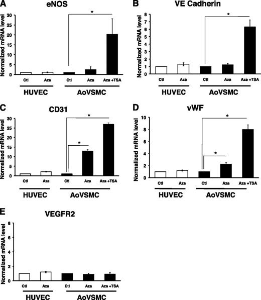 Figure 5. Functional role of promoter DNA methylation of EC-enriched genes in AoVSMC. RT-qPCR analysis of mRNA levels in HUVECs and AoVSMCs treated with control (Ctl), 5-azacytidine (Aza; 5 μM, 7 days), or a combination of Aza and trichostatin A (TSA; 1 μM, 24 hours). Results are displayed relative to Ctl within each cell type. (A) eNOS, (B) VE-cadherin, (C) CD31, and (D) vWF display greater expression in AoVSMCs with combined Aza and TSA treatment. (E) VEGFR2 expression did not change with treatment. Addition of synthetic capped polyadenylated luciferase RNA was used for RNA recovery and first-strand cDNA synthesis efficiency. HUVEC/AoVSMC ratios of absolute RNA copy numbers for each gene are as follows: eNOS (750:1); CD31 (2500:1), VE-cadherin (5000:1); VEGFR2 (10:1); vWF (10 000:1). A representative experiment (mean ± standard error, n = 4) is shown. *Statistically significant difference between treated samples and control for each cell type (P < .05).