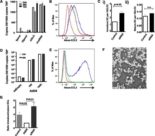 Figure 1. D6 regulates lymphatic interactions with dCs. (A) D6 expression can be knocked down by D6-specific siRNA, but not by irrelevant siRNAs (irr siRNA) or fluorescent transfection control siRNA (siGLO), as determined by QPCR. (B) siRNA knock-down of D6 downregulates the endogenous Alexa-CCL2 uptake ability of HDLECs. Red, baseline autofluorescence of HDLECs; blue, endogenous uptake ability of control HDLECs; green/pink, repeats of D6 siRNA–treated HDLECs exposed to Alexa-CCL2. Functional D6 knockdown is represented as a “left-shift” in the flow cytometry profiles. (Ci) siRNA knockdown of D6 in HDLECs increases the number of iDC adhering (8 × 104 added) to tumor necrosis factor (TNF)-stimulated HDLEC monolayers as assessed by flow cytometry. (Cii) siRNA knockdown of D6 has no effect on the number of mDC adhering (2 × 104 added) to TNF-stimulated HDLEC monolayers. (D) D6 is strongly overexpressed in HDLECs following transduction with an adenovirus expressing D6 (AdD6) vector (at 100 and 1000 viral particles/cell), as determined by QPCR. (E) AdD6 induces Alexa-CCL2 uptake. Red, baseline autofluorescence of HDLECs; green, control HDLECs treated with Alexa-CCL2; blue, adenovirus-infected HDLECs treated with Alexa-CCL2. (F) mDC and iDC compete for binding sites at HDLEC:HDLEC cell junctions. This figure visualizes unlabeled DC interacting with the underlying LEC monolayer. (G) HDLECs were either treated with siRNA to knockdown D6 or transduced with AdD6 to increase expression. Differentially dye-labeled iDC and mDC were mixed at a ratio of 4:1 (numbers as in C) and allowed to adhere to HDLEC monolayers; the relative numbers of iDC and mDC binding were assessed by FACS and expressed as an iDC/mDC ratio. All HDLECs used in the experiments represented in this figure were between passages 4 and 7.