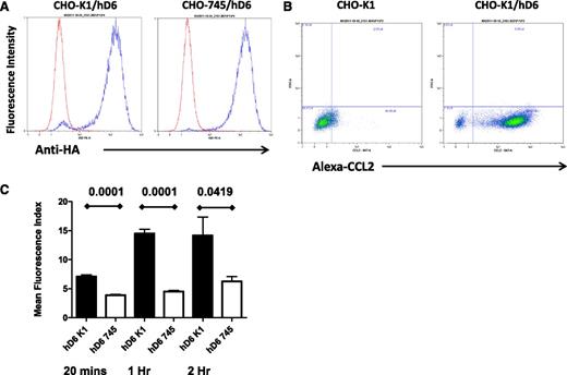 Figure 2. cis-presentation by glycosaminoglycans is important for D6 function. (A) Flow cytometry using antibodies against the N-terminal HA tag demonstrates equivalent D6 expression in the CHO-K1/hD6 and CHO-745/hD6 clones selected for analysis. Red lines, isotype control profile; blue lines, anti-HA immunoreactivity profile. (B) FACS profiles demonstrating uptake of Alexa-CCL2 by D6-transfected CHO cells (CHO-K1/hD6) but not untransfected controls (CHO-K1). Alexa-CCL2 uptake is seen as a “right-shift” in the FACS profiles. (C) Alexa-CCL2 uptake by CHO-K1/hD6 (hD6 K1) and CHO-745/hD6 (hD6 745) transfectants at 20 minutes, 1 hour, and 2 hours as assessed by FACS.