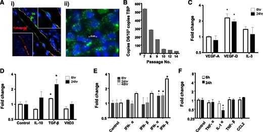 Figure 3. D6 expression is dynamic and regulated by lymphangiogenic and inflammatory cytokines. (Ai) Lymphatic endothelia in human psoriatic skin stained for D6 (green) and the lymphatic marker podoplanin (red). 4,6 diamidino-2-phenylindole (DAPI; blue) stains the nuclei. Some vessels stain strongly for D6 (top right inset), whereas others are negative for D6 expression (bottom left inset). (Aii) In vitro cultured lymphatic endothelial cells display D6 immunoreactivity (green) in punctate intracellular vesicles. DAPI (blue) stains the nuclei. (B) D6 is expressed by cultured HDLECs and is downregulated with repeat passage during continuous culture, as determined by QPCR. D6 transcript levels in HDLECs were assessed by QPCR and shown to be regulated by (C) lymphangiogenic factors, (D) anti-inflammatory cytokines, (E) type I interferons, and (F) pro-inflammatory cytokines. Cytokines were used at the following concentrations: transforming growth factor (TGF)-β and IL-1α (10 ng/mL); TNF-α (20 ng/mL); CCL2 (30 ng/mL); IL-3 and IL-10 (50 ng/mL); TNF-β and vascular endothelial growth factors (VEGF; 100 ng/mL); vitamin D3 (10 μM); and IFN-α/β (100 μ/mL). *P < .05.
