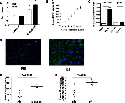 Figure 4. D6 expression is upregulated by IL-6 and IFN-γ. (A) IL-6, in concert with its soluble receptor (IL6/sIL6-R at a 1:5 molar ratio) induces significant and prolonged upregulation of D6 expression in LECs (*P < .05). (B) IL-6/sIL-6R dose dependently enhances D6 expression in LECs as assessed by QPCR. (C) IFN-γ rapidly enhances D6 expression in lymphatic endothelial cells as assessed by QPCR. (D) D6 protein expression is upregulated by 24 hours following IL-6 stimulation of LECs as demonstrated by immunostaining of IL-6 treated LEC monolayers (scale bar, 100 μm). (E-F) Quantitation of the number of D6-positive cells per field of view for IL-6– and IFN-γ–treated LECs. Note that each point represents the average of 5 field-of-view counts. GAPDH, glyceraldehyde-3-phosphate dehydrogenase; PBS, phosphate-buffered saline.