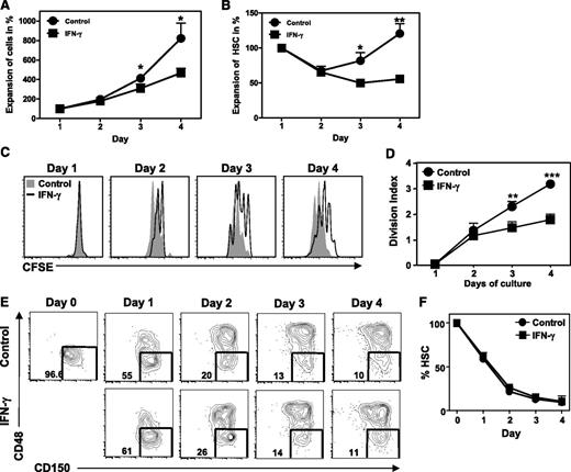 Figure 2. IFN-γ impairs proliferation of HSCs. Purified HSCs (Lin−c-Kit+CD48−CD150+) were labeled with CFSE and cultured for 4 days with SCF/TPO/IL-3/IL-6/Flt3-L with or without IFN-γ. (A) Expansion of total cells in culture relative to day 1. (B) Expansion of HSCs (Lin−c-Kit+CD48−CD150+) relative to day 1. Histograms (C) and division index (defined as the average number of divisions that a cell that was present in the starting population has undergone) (D) of CFSE-labeled HSCs cultured with or without IFN-γ. (E) Representative plots showing percentage of HSC (Lin−c-Kit+CD48−CD150+) in cultures and (F) quantification of these data. Histograms and plots are representative of 3 independent experiments. Graphs represent data pooled from 3 independent experiments with duplicate cultures. Mean values ± SEM are shown. *P < .05; **P < .01; ***P < .001.