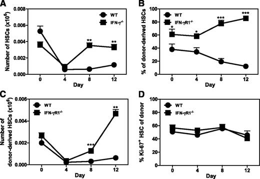 Figure 3. IFN-γ inhibits HSC recovery after LCMV infection. (A) WT and IFN-γ−/− mice were infected with LCMV and the number of HSCs (Lin−c-Kit+CD48−CD150+) was measured by flow cytometry at indicated days (n = 3-5). Data represent 3 independent experiments. Mixed BM-chimeric mice were generated with WT (CD45.1) and IFN-γR1−/− (CD45.2) BM (1:1 ratio), infected with LCMV, and donor HSC chimerism (B), donor HSC numbers (C), and proliferation of donor HSCs (D) were measured at indicated days (n = 3-5). Data are representative of 2 independent experiments. Mean values ± SEM are shown. *P < .05; **P < .01; ***P < .001.