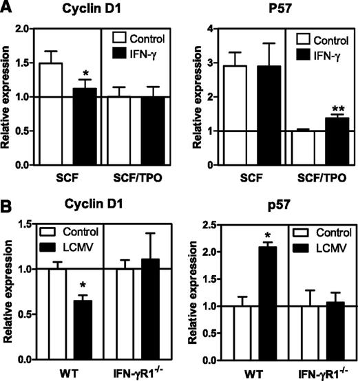 Figure 5. IFN-γ affects expression of genes involved in cell cycle regulation. (A) Messenger RNA expression levels of cyclin D1 and p57 in HSCs cultured for 24 hours with SCF or SCF and TPO with or without IFN-γ. Expression levels are relative to the expression in SCF/TPO cultured HSCs. Quantitative PCRs were performed in duplicate and data are pooled from 2 independent experiments with 1 to 3 cultures per condition. (B) Messenger RNA expression levels of indicated genes in WT and IFN-γR1−/− HSCs from chimeric mice 8 days after LCMV infection. Expression levels are relative to the expression in WT and IFN-γR1−/− HSCs from naive WT: IFN-γR1−/− chimeric mice. Quantitative PCRs were performed in duplicate of 2 or 3 pooled samples of purified HSCs. Mean values ± SD are shown. *P < .05; **P < .01.