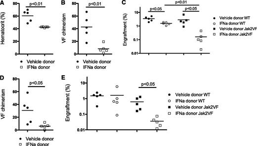 Figure 5. Functional depletion of Jak2VF disease-initiating stem cells after IFNα treatment. (A) Normal HCT in recipients from IFNα-treated but not vehicle-treated donor Jak2VF chimeric mice bone marrow 4 weeks after transplantation (vehicle: 60.5 ± 9.2% vs IFNα: 42.6 ± 0.8%: P < .01; n = 5). (B) Reduced Jak2VF chimerism in recipients 4 weeks after transplantation from IFNα-treated mice but not from vehicle-treated donor mice (vehicle: 42.6 ± 18.8% vs IFNα: 8.2 ± 6.7%; P < .01; n = 5). (C) Absolute engraftment (total CD45.2+ cells in peripheral blood) 4 weeks after transplantation in secondary transplant recipient (WT vehicle: 3.5 ± 1.3% vs IFNα: 1.5 ± 0.3%; P < .05; n = 5; Jak2VF vehicle: 2.9 ± 2.3% vs IFNα: 0.2 ± 0.2%; P < .05; n = 5; vehicle WT vs Jak2VF: 3.5% vs 2.9%; P = .64; IFNα-treated WT vs Jak2VF: 1.5% vs 0.2%; P < .01). (D) Sixteen weeks of chimerism demonstrating sustained reduction in Jak2VF chimerism in recipients of bone marrow from IFNα-treated mice but not vehicle-treated donor mice (vehicle: 30.6 ± 20.2% vs IFNα: 6.1 ± 4.2%; P < .05; n = 5). (E) Engraftment in secondary transplant recipients 16 weeks after transplantation (WT vehicle: 1.5 ± 0.7% vs IFNα: 1.6 ± 2.4%; P = .90; n = 5; Jak2VF vehicle: 0.6 ± 0.5% vs IFNα: 0.04 ± 0.02%; P < .05; n = 5). Each data point represents an individual mouse. Data shown are representative of at least 2 independent experiments. Similar results were found in each experiment. Results given are mean ± standard deviation.