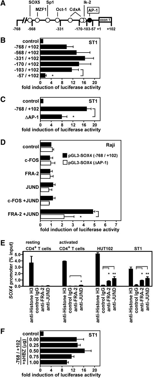 Figure 2. Direct activation of the SOX4 promoter by FRA-2 and JUND. (A) A schematic depiction of the SOX4 promoter region from –768 to +102 bp with potential regulatory elements. (B) Deletion analysis. Luciferase reporter assays were performed using reporter constructs containing the SOX4 promoter fragment from –768 to +102 bp and its successive 5′-truncated fragments. The region from –103 to –57 bp was found to be necessary and sufficient for the reporter gene expression in ST1 cells. Data are presented as mean ± SEM of 3 separate experiments. *P < .05. (C) Mutation analysis. Luciferase reporter assays were performed in ST1 cells using reporter constructs containing the SOX4 promoter fragment from –768 to +102 bp with an AP-1 site at –92 to –82 bp being wild-type or mutated (ΔAP-1, from CATGAGAAGC to CATTGGACTC). Data are presented as mean ± SEM of 3 separate experiments. *P < .05. (D) Reconstitution experiment. Raji cells were cotransfected with pGL3-SOX4 (–768/+102) with the wild-type AP-1 site or mutated AP-1 site (ΔAP-1) and expression vectors for c-FOS, FRA-2, JUND, or control vector as indicated. After 24 hours, luciferase assays were performed in triplicate. Promoter activation was shown as fold induction of luciferase activity in cells transfected with indicated AP-1 member expression vectors vs cells transfected with the control vector. Transfection efficiency was normalized by β-galactosidase activity. Data are presented as mean ± SEM of 3 separate experiments. *P < .05. (E) ChIP assay. Chromatins prepared from normal resting and activated CD4+ T cells and 2 ATL cell lines (HUT102 and ST1) were fragmented and immunoprecipitated with anti-histone H3 (positive control), anti-FRA-2, anti-JUND, or control IgG (negative control). Real-time PCR was performed to quantify the AP-1 site of the SOX4 promoter in precipitated chromatin fragments relative to total input DNA (% input). Data are presented as mean ± SEM of 3 separate experiments. *P < .05; **P < .01. (F) Effect of HTLV-1 HBZ on the SOX4 promoter. ST1 cells were cotransfected with pGL3-SOX4 (–768/+102) and an expression vector for the spliced form of HBZ (sHBZ) or control vector as indicated. After 24 hours, luciferase assays were performed in triplicate. Transfection efficiency was normalized by β-galactosidase activity. Data are presented as mean ± SEM of 3 separate experiments.