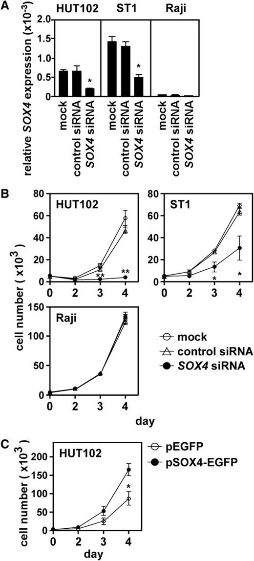 Figure 3. Role of SOX4 in ATL cell growth. (A) Effect of siRNA knockdown on SOX4 expression. Two ATL cell lines (HUT102 and ST1) and Raji were transfected with control siRNA or SOX4 siRNA. After 48 hours, total RNA samples were prepared, and quantitative real-time PCR was performed. Data are shown as mean ± SEM of 3 separate experiments. *P < .05. (B) Effect of SOX4 siRNA on cell growth. Two ATL cell lines (HUT102 and ST1) and Raji were transfected with control siRNA or SOX4 siRNA and cultured in a 96-well plate at 0.5 × 104 cells per well. At indicated time points, viable cells were counted on FACSCalibur by gating out cells stained with propidium iodide. Data are shown as mean ± SEM of 3 separate experiments. *P < .05; **P < .01. (C) Effect of SOX4 overexpression on cell growth. HUT102 cells were transfected with the control EGFP vector or pSOX4-EGFP. After 48 hours, cells expressing EGFP were sorted and cultured in a 96-well plate at 0.5 × 104 cells per well. At indicated time points, viable cells were counted on FACSCalibur by gating out dead cells stained with propidium iodide. Data are presented as mean ± SEM of 3 separate experiments. *P < .05.