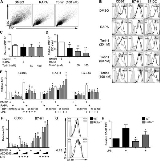 Figure 1. ATP-competitive dual mTORC1 and 2 inhibition dose-dependently and selectively upregulates DC B7-H1 expression. B6 mouse BM-derived conventional DCs were differentiated in the presence of vehicle (DMSO) or the indicated mTOR inhibitor (10 ng/mL RAPA or various concentrations of Torin1 or AZD8055). (A) Forward scatter (FSC) vs side scatter (SSC) flow cytometry plots of CD11c+-purified DCs. (B) CD11c-gated cells were analyzed for CD86, B7-H1 (PD-1 ligand 1), and B7-DC (PD-1 ligand 2) expression by flow cytometry in unstimulated cultures and cultures stimulated with LPS on day 7 for 18 hours. Isotype controls are indicated by the shaded histogram; unstimulated (gray line) and LPS-stimulated cells (black line) are also shown. The percent of cells staining positive and the MFI are indicated in the upper left and right corners, respectively. (C) The frequency of CD11c+ DCs in BM cell cultures was determined on day 8. (D) mTOR inhibition reduced the yield of CD11c+ DCs isolated from BM cell cultures on day 8. Viable cell numbers were determined by trypan blue exclusion. (E) Quantification of CD86, B7-H1, and B7-DC expression (MFI) across multiple experiments. (F) CD11c-gated cells from BM cultures exposed to increasing concentrations of AZD8055 (400, 800, and 1200 nM) were assessed for CD86 and B7-H1 expression. (G) B7-H1 expression on wild-type (WT) or rictor−/− BM-derived DCs. Percent positive cells and MFI are indicated in the upper left and right corners, respectively. (H) Quantification of panel G across multiple experiments. Bar graph values are normalized to WT or the DMSO treatment condition. n ≥ 3 experiments for all data presented. *, # P < .05 when compared with control and RAPA, respectively.