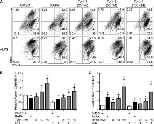Figure 2. Torin1-conditioned DCs are predominantly CD86loB7-H1hi. (A) Analysis of the coexpression of CD86 and B7-H1 on CD11c-gated cells with percentage of CD86loB7-H1hi DCs indicated in the gate. (B) Quantification of the frequency of CD86loB7-H1hi DCs across multiple experiments. (C) Ratio of the normalized B7-H1 MFI divided by the normalized CD86 MFI for the indicated culture conditions. n ≥ 5 experiments for all data presented. *, # P < .05 when compared with DMSO and RAPA, respectively.