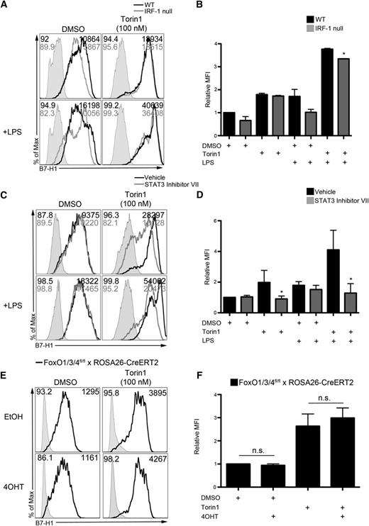 Figure 3. RAPA-resistant mTOR negatively regulates B7-H1 expression by reducing STAT3 activation independent of FoxO. (A) WT or IRF-1–null BM cell cultures were exposed to Torin1 (100 nM), stimulated with LPS (100 ng/mL) overnight on day 7, and CD11c+ DCs interrogated for B7-H1 expression by flow cytometry on day 8. (B) Quantification of B7-H1 MFI from panel A relative to DMSO control. *P < .05 compared with WT. (C) DMSO or Torin1-exposed DCs were cultured as described in “Methods.” STAT3 inhibitor VII (250 nM) was added to cultures 2 hours before LPS stimulation for 18 hours, and B7-H1 expression analyzed on CD11c-gated DCs. (D) Quantification of B7-H1 MFI from panel C across multiple experiments normalized to DMSO control DC expression. *P < .05 compared with the corresponding group not receiving STAT3 inhibitor VII. (E) FoxO1/3/4fl/fl × ROSA26-CreERT2 BM cells were exposed to 4OHT, and B7-H1 expression determined on CD11c-gated DCs on day 8. (F) Quantification of B7-H1 MFI from panel E normalized to the DMSO+EtOH group. Data are from n = 2 to 4 independent experiments.