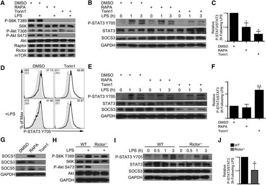 Figure 4. Extended exposure to ATP-competitive mTOR inhibition reduces SOCS3 expression, resulting in sustained STAT3 activation. CD11c+ cells were isolated from 7-day BM cell cultures and pretreated with DMSO, RAPA (10 ng/mL), or Torin1 (100 nM) for 2 hours before LPS stimulation for 30 minutes (A) or 1 to 3 hours (B). Total cell lysates were immunoblotted for the indicated protein. (C) P-STAT3 signal was quantified relative to total STAT3 signal at 3 hours following LPS stimulation and normalized to control. (D) DCs were differentiated in the presence of DMSO (vehicle) or Torin1 (100 nM) from day 2 to day 8. DCs were isolated by CD11c immunomagnetic purification, and P-STAT3 signal determined by flow cytometric analysis following LPS stimulation for 3 hours. Gray histogram depicts samples stained with secondary Ab only. MFI for P-STAT3 signal and secondary Ab only are indicated in the top left corner, and percent positive cells is indicated in the upper right corner. (E) RAPA- or Torin1-conditioned DCs were purified as described in panel D, stimulated with LPS for 0 to 3 hours, and total cell lysates immunoblotted for the indicated protein. (F) Quantification of P-STAT3/STAT3 signal 3 hours after LPS stimulation. (G) SOCS protein was assessed in RAPA- or Torin1-conditioned DCs. WT or rictor−/− DC were stimulated with LPS for 30 minutes (H) or 0 to 3 hours (I) and probed as indicated. (J) P-STAT3/STAT3 signal was quantified at 3 hours post-LPS. Data are representative of n = 2 to 3 independent experiments. *, # P < .05 when compared with DMSO or WT and RAPA, respectively.