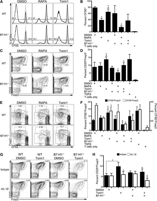 Figure 6. Enhanced induction of Tregs by Torin1-exposed DCs is B7-H1 and IL-1β dependent. (A) WT or B7-H1−/− DCs propagated in the indicated mTOR inhibitor were washed extensively and used as stimulators of CD4+CD25– normal BALB/c T cells in a 5-day CFSE-dilution MLR. (B) Percent of proliferating T cells (CFSElo) was calculated across multiple experiments. (C) Representative contour plots depicting the percentage of induced Tregs (CD25hiFoxp3+) in the MLR from panel A are shown. (D) The data from panel C were calculated across multiple experiments. (E) Representative contour plot of CFSE dilution of Foxp3+ and Foxp3– T cells. (F) Quantification of multiple experiments from panel E. *, #, ^ P < .05 compared with WT DMSO, WT RAPA, and the corresponding WT condition, respectively. IL-1β was neutralized in MLR, and Treg induction determined as in panel C (G) and quantified across experiments (H). *, ^ P < .05 compared with corresponding isotype control and WT conditions, respectively, unless otherwise indicated. All data are representative of n ≥ 3 independent experiments. In some experiments, transforming growth factor β (TGFβ) (10 ng/mL) was added at the start of culture as a positive control, and T cells without DC stimulators were included as a negative control.