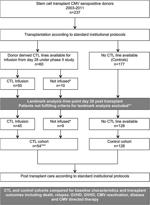 Figure 1. Study design. *Patients who did not receive infusions for clinical reasons. **Exclusion criteria for the landmark analyses were: death, relapse, severe acute GVHD and CMV reactivation occurring prior to day 28. ***CTL trial recruits for whom a CTL product was available but who did not receive an infusion for clinical reasons were included in the CTL cohort; analysis was on an intention-to-treat basis.