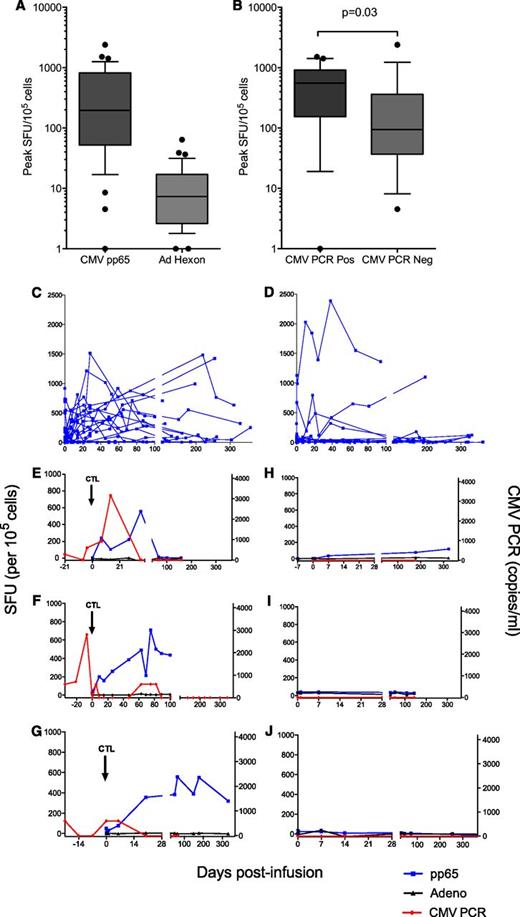 Figure 5. Correlative studies of immune function in patients who received CTL infusion. Data for 37 patients for whom results were available. (A) Peak IFN-γ EliSpot for pp65 (CMV) and adenovirus hexon protein postinfusion of T cells. Counts displayed are the maximum measured for each patient above negative control. Bars represent medians, boxes represent 25th to 75th percentiles, and whiskers represent the 10th and 90th percentiles. Individual results outside these parameters are shown (●). (B) Peak pp65-specific immunity as measured by IFN-γ EliSpot in recipients of CTL who did and did not develop CMV reactivation. Bars represent medians, boxes represent 25th to 75th percentiles, and whiskers represent the 10th and 90th percentiles. Individual results outside these parameters are shown (●). (C-D) CMV-specific immunity over time in recipients of CTL who did (C, n = 19) and did not (D, n = 18) develop CMV reactivation at any time posttransplant. PBMC collected at preinfusion and follow-up time points were incubated with pp65 peptide mix in an IFN-γ EliSpot immunoassay. Results are expressed as spot-forming units/105 cells above negative control. (E-G) Representative examples of CMV pp65-specific immunity and adenovirus hexon-specific immunity as measured by IFN-γ EliSpot in 3 recipients of CMV CTL who developed CMV reactivation. (E, patient 40; F, patient 20; G, patient 25). (H-J) Representative examples of CMV pp65-specific immunity and adenovirus hexon-specific immunity as measured by IFN-γ EliSpot in 3 recipients of CMV CTL who did not develop CMV reactivation. (H, patient 26; I, patient 17; J, patient 44).