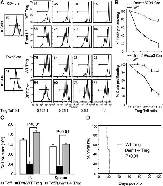 Figure 3. Dnmt1−/− Tregs lack suppressive function in vitro and in vivo. (A) In vitro Treg assays assessing their ability to inhibit the TCR-induced proliferation of CFSE+ CD4+ CD25– Tcon cells. Upper panels compare Dnmt1−/− Tregs isolated from CD4-Cre/dnmt1−/− mice versus WT Tregs; lower panels compare Dnmt1−/− Tregs isolated from Foxp3-Cre/dnmt1−/− mice versus WT Tregs; the proportions of proliferating Tcon cells is shown at each ratio of Treg:Tcon cells. (B) Cumulative data (mean ± SD) from 4 such assays as shown in previous panel. (C) Lack of Dnmt1−/− Treg suppressive function in vivo in homeostatic proliferation assays involving transfer of WT Tcon cells plus WT or Dnmt1−/− Tregs to B6 RAG−/− mice; data (mean ± SD) from 4 mice per group, and comparable results were observed in 2 separate experiments. (D) Cardiac allograft survival in B6 Rag−/− mice engrafted with BALB/c hearts and reconstituted with B6 CD4+CD25– T con cells and either WT or Dnmt1−/− Treg cells; Kaplan-Meier plot with 4 animals per group, and comparable data were observed in 2 separate experiments.