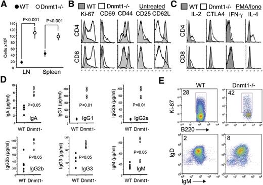 Figure 4. Loss of Treg Dnmt1 expression leads to increased activation of T and B cells. (A) Total mononuclear cell counts of peripheral LN and spleens isolated from Dnmt1−/− versus WT mice (mean ± SD, n = 4 per group). (B) Flow cytometry showing increased expression of T-cell activation markers using CD4+CD25– YFP-Foxp3– Tcon cells isolated from mice with conditional targeting of Dnmt1 in their Tregs versus WT mice. (C) Effects of PMA/ionomycin activation (4 hours) of these cells showing increased cytokine expression by T cells from Dnmt1−/− versus WT mice. (D) Increased immunoglobulin levels in the sera of Dnmt1−/− versus WT mice (mean ± SD, n = 4 per group). (E) Increased B-cell activation and class switching in Dnmt1−/− versus WT mice; proportion of labeled cells is shown in each plot and data are representative of 4 mice analyzed.