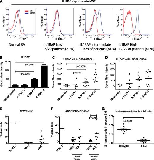 Figure 1. IL1RAP is overexpressed in AML and can be used as a target for selective antibody-mediated killing of AML cells. (A) AML patients were subdivided into 3 subgroups based on IL1RAP expression levels in mononuclear cells (MNC): IL1RAP low (IL1RAP-L), IL1RAP intermediate (IL1RAP-I), and IL1RAP high (IL1RAP-H). (B) Geometric mean fluorescence intensity (MFI) of IL1RAP expression within the IL1RAP-L, IL1RAP-I, and IL1RAP-H groups compared with normal BM and PB samples. Mean and standard error of the mean is presented. (C) Geometric MFI of IL1RAP expression within CD34+CD38+ cells from normal BM or AML patients. (D) Geometric MFI of IL1RAP expression within CD34+CD38− cells from normal BM or AML patients. (E) Frequency of dead cells (measured as % 7AAD+ cells after subtracting % 7AAD+ cell in the corresponding isotype control group) in an ADCC assay of normal BM MNC and MNC from AML patients (AML 17, 19-23, 27, and 29). The KU812 cell line with a high IL1RAP expression was used as a positive control. (F) Frequency of dead cells in an ADCC assay of sorted CD34+CD38− and CD34+CD38+ cells from normal BM or AML MNCs. Based on availability of cells, we selected 3 patients from the IL1RAP-I group (AML 7, 9, and 10) and 1 patient from the IL1RAP-L group (AML 2). (G) Engraftment of human AML cells (CD45+) in BM of immunodeficient mice, following in vitro ADCC using mAb 81.2 or an isotype control. Flow cytometry was performed at time of sacrifice 3 weeks posttransplantation.