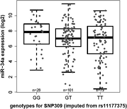 Figure 3. Correlation of log2 transformed miR-34a array expression across the different MDM2 SNP genotypes (imputed from rs11177375): homozygous GG, heterozygous GT, or wild-type TT.