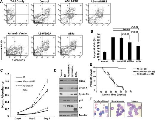 Figure 2. Effects of AML1-ETO–mutNHR3 and –W692A on cellular dysregulation. (A) Effects of AML1-ETO mutants on apoptosis in primary bone marrow cells. Murine bone marrow cells transduced with the indicated AML1-ETO constructs were harvested after 2 d of selection, stained with 7-AAD and Annexin V-APC, and analyzed by flow cytometry. Gating controls are shown at left. Data are representative of 3 independent experiments. (B) Averages and standard deviations of 3 independent experiments from (A). (C) Effects of AE constructs on cellular metabolic activity. Primary bone marrow cells were transduced and selected as in (A), seeded in duplicate at 10 000 cells/well in a 96-well plate, and assayed every 2 d by MTS assay. Data are representative of 3 independent experiments. (D) Immunoblot analysis of CDK4, cyclins A and D3, and p27 expression in K562 cells infected and selected as in supplemental Figure 4A. Data are representative of 4 independent experiments. (E) W692A increases leukemogenic potential of AML1-ETO. Kaplan-Meier survival curves of mice transplanted with hematopoietic cells expressing the indicated AML1-ETO construct. Data combined from 3 independent transplantations. (F) Presence of hematopoietic blast cells in tissues of mice transplanted with AML1-ETO-W692A expressing cells. Peripheral blood smear and cytocentrifugation of bone marrow and spleen cells were stained with Wright-Giemsa solutions.