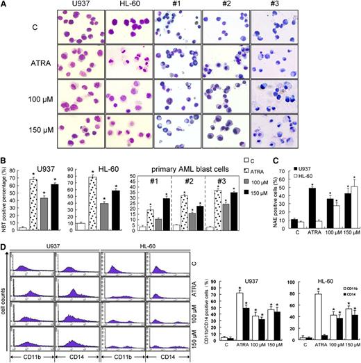 Figure 3. Wogonoside induces differentiation of U937, HL-60, and primary leukemic cells from AML patients. (A) Representative Wright-Giemsa staining for morphological examination is shown. Leukemic cells were treated with 1 μM ATRA, 100 μM wogonoside, or 150 μM wogonoside for 96 hours. Original magnification was ×400 (objective lenses ×40) under a light microscope (IX51; Olympus, Tokyo, Japan), and images were captured using DP2-BSW software (Olympus) at room temperature. (B) Detection of NBT-reduction activity of the leukemic cells is shown. NBT-positive cells with purple-black color were counted, and the overall percentage was calculated based on 200 total cells per microscopic field and counting 5 times in each group. (C) The effect of wogonoside on α-naphthyl acetate esterase activity is shown. (D) The expression of CD11b/CD14 in U937 and HL-60 cells is shown. The percentages of cells expressing CD11b and CD14 were detected by flow cytometry analyses. The data represent the mean ± SEM of 3 different experiments. Asterisks denote statistically significant (P < .05) differences compared with controls by one-way ANOVA.