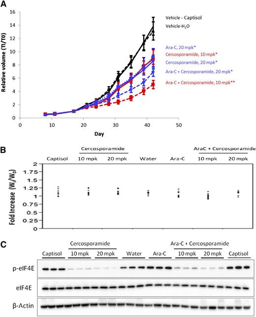 Figure 3. Combining cercosporamide and Ara-C suppresses growth of MV4-11 AML xenograft tumors. (A) Tumor-bearing mice were randomized to treatment groups and dosed daily with 20 mg/kg Ara-C, or with cercosporamide (20 mg/kg daily or 10 mg/kg twice daily), or with Ara-C in combination with either cercosporamide treatment. The vehicle-treated mice (captisol for cercosporamide and water for Ara-C) are shown. Relative tumor volumes measured by caliper are plotted at each time point divided by initial tumor volume for each animal (T1/T0) ± standard error of the mean. All treatments showed statistically significant activity when compared with the appropriate vehicle-treated controls* (cercosporamide 10 mg/kg twice daily, P < .011; cercosporamide 20 mg/kg daily, P < .006; Ara-C, P < .0374; cercosporamide 10 mg/kg twice daily plus Ara-C vs either vehicle, P < .0001). Cercosporamide 10 mg/kg twice daily plus Ara-C was also significantly more effective than cercosporamide (P < .0009**) or Ara-C alone (P = .0005**). Data are representative of 4 separate xenograft studies. (B) Body weight distribution across all treatment groups was calculated by normalizing body weight for each animal at the end of study (day 42) (WI) with that immediately prior to treatment (W0). (C) Western blot analyses for p-eIF4E were run on tumor lysates harvested at the end of study. Cell lysates for the indicated treatment conditions were analyzed by SDS-PAGE and immunoblotted with an antibody against the phosphorylated form of eIF4E (upper panel). Equal amounts of lysates from the same experiment shown in the upper panel were analyzed separately by SDS-PAGE and immunoblotted with an antibody against eIF4E (middle panel). The same blot shown in the middle panel was immunoblotted with an anti-actin antibody, as indicated (lower panel). Each lane represents an individual tumor. mpk, mg/kg.