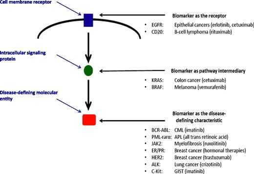 Biomarkers may be “prognostic” and separate patients into favorable or unfavorable groups or be “predictive” and direct those expressing or not expressing the biomarker to different therapies. The figure shows that a current list of validated predictive cancer biomarkers is limited to molecular entities that define a disease and to proteins that are intimately involved in the mechanism of action of a targeted therapy. Kanakry et al suggest a role for plasma EBV-DNA levels as a prognostic biomarker for patients with Hodgkin lymphoma. Establishing a role of EBV in the continued pathogenesis of Hodgkin lymphoma and developing therapies against this process would create the potential for plasma EBV-DNA to be a predictive biomarker. APL, acute promyelocytic leukemia; CML, chronic myelocytic leukemia; EGFR, epidermal growth factor receptor; ER/PR, estrogen receptor/progesterone receptor; GIST, gastrointestinal stromal tumor.