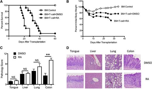 Figure 1. Administration of exogenous RA selectively intensifies GVHD of the colon. Lethally irradiated Balb/c mice received a transplant of 10 × 106 B6 BM alone (○) or together with B6 spleen cells (adjusted to yield a dose of 0.6 × 106 T cells). Cohorts of mice that received adjunctive spleen cells were then treated by intraperitoneal injection with either DMSO (▪) or RA (●)(450 μg/mouse) every other day beginning on the day of transplantation until day 20. (A) Overall survival. Data are cumulative results of 3 experiments (n = 6 for BM control group, n = 12 for both DMSO- and RA-treated groups). (B) Mean percent initial body weight of recipient mice transplanted as in panel A over the first 35 days. (C) Lethally irradiated Balb/c mice were transplanted with B6 BM and spleen cells as above with the exception that the spleen cell dose was adjusted to yield a dose of 0.3 × 106 T cells. Groups were then treated with either DMSO or RA. Mice were killed 5 weeks after transplantation. Pathological damage in the tongue, liver, lung, and colon was examined using a semiquantitative scoring system as described in the Material and Methods section. Data are presented as the mean (± standard error of the mean) and are the cumulative results from 3 experiments (n = 12 for both groups). Statistics: **P ≤ .01. (D) Histology of tongue, liver, lung, and colon from representative Balb/c recipients transplanted with B6 BM and spleen cells and treated with either DMSO or RA. Tongues in DMSO- and RA-treated mice reveal lymphocytic infiltration into the epidermis. Livers in the 2 groups show mononuclear cell infiltration in the portal triads, while lungs demonstrate both perivascular cuffing attributable to mononuclear cells and associated interstitial inflammation. Colon in DMSO-treated animals demonstrates loss of mucin and lamina propria inflammation but preservation of crypt cell architecture. Conversely, RA-treated mice show extensive loss of crypts with goblet cell depletion and inflammation extending into the muscle. Original magnification is 200× for liver, colon, and tongue images and 100× for lung images.