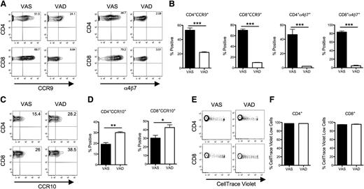 Figure 4. Vitamin A deprivation in recipient mice impairs the acquisition of gut-homing molecule expression on donor T cells after BMT. Lethally irradiated Balb/c Rag mice fed with either VAS or VAD diets were transplanted with B6 BM and CellTrace-violet–labeled splenic T cells (adjusted to yield a T-cell dose of 1 × 106). Mice from both groups were killed on day 3 after BMT. (A) Representative contour plots of CCR9 and α4β7 expression on donor T cells isolated from the MLNs of recipient mice after gating on H-2Kb+ CD4+ or H-2Kb+ CD8+ cells. (B) The mean percentage positive donor T cells (± SEM) expressing CCR9 and α4β7 from 4 mice per group. Data are from 1 of 2 representative experiments. Statistics: ***P ≤ .001. (C) Representative contour plots of CCR10 expression on donor T cells isolated from the PLNs of recipient mice. (D) The mean percentage positive donor T cells (± SEM) expressing CCR10 from 4 mice per group. Data are from 1 of 2 representative experiments. Statistics: *P ≤ .05, **P < .01. (E) Representative example of CellTrace-violet-labeled donor H-2Kb+ CD4+ or CD8+ T-cell proliferation in the spleen of VAS and VAD recipients 3 days after transplantation. (F) Mean (± SEM) percentage of proliferating (CellTrace-violet low) splenic donor T cells (n = 4 mice per group). One of 2 representative experiments is shown.