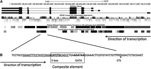 Figure 1. Organization and conservation within the GATA2 locus. (A) GATA2 locus. The 3 identified isoforms of human GATA2 are shown with the associated GERP, DNaseI hypersensitive sites, and reported transcription factor binding sites.36,37 (B) The conserved region within intron 5 including the composite element encompassing an E-box and GATA motifs and the ETS motif. Bold text denotes motifs for transcription factor binding. Underline denotes deletion in patient 6.II.1; *recurrent ETS motif point mutation, c.1017+572C>T. Figure modified from UCSC browser.