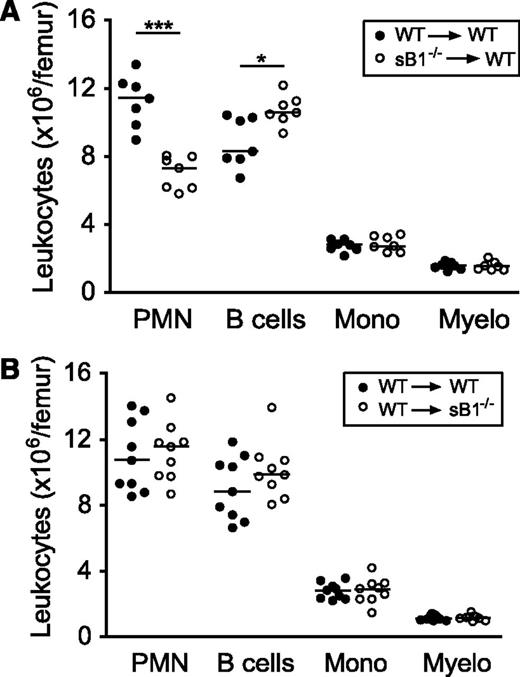 Figure 1. Defective PMN reserve in BM chimera depends on serpinB1 deficiency in the hematopoietic compartment. Flow cytometry analysis of major BM leukocyte subsets of lethally irradiated mice was performed 8 to 10 weeks after BM transfer. (A) Irradiated WT (CD45.1) mice were transferred with WT (●) or sB1−/− (○) BM cells. (B) Irradiated WT (●) and sB1−/− (○) mice both CD45.2 were transferred with WT (CD45.1) BM cells. Each circle represents leukocyte numbers for 1 mouse and horizontal line indicates the median. Median subsets numbers were compared by the Mann-Whitney test (*P < .05; ***P < .001).