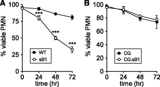 Figure 4. sB1−/− PMN death mediated by CG does not require caspase activity. Survival of isolated BM PMNs in the presence of 50µM pan-caspase inhibitor Q-VD-OPh was measured by flow cytometry (supplemental Figure 1) at indicated time points for (A) WT and sB1−/− PMNs (N = 3) and (B) CG−/− and CG−/−.sB1−/− PMNs (N = 2). Data are shown as mean ± SD and was analyzed by 2-way ANOVA followed by the Bonferroni posttest (***P < .001).