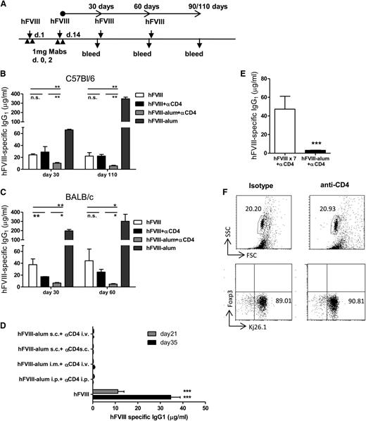 Figure 1. hFVIII-alum increases the tolerogenicity of anti-CD4 mAb. (A) C57Bl/6 and BALB/c mice were treated with 1 U hFVIII or hFVIII-alum and 2 × 1 mg nondepleting anti-CD4 (or isotype control) on the indicated days, followed by subsequent administrations of 1 U hFVIII as represented. The presence of serum hFVIII-specific immunoglobulin was investigated at days 30, 60, and 90 or 110 following the last administration of anti-CD4. (B-C) Serum concentration of hFVIII-specific IgG1 in C57Bl/6 mice (B) (n = 6; **P < .01) and in BALB/c mice (C) (n = 6; *P < .05; **P < .01). (D) hFVIII-alum and anti-CD4 were administered through different routes (as indicated in the figure label) according to the schedule represented in panel A. One group of mice was treated with an isotype control. All mice were then exposed to hFVIII intravenously and serum anti-hFVIII IgG1 was quantified. Animals that received hFVIII-alum together with anti-CD4 remained tolerant regardless of the administration route (n = 6; ***P < .001). (E) Persistent serum levels of hFVIII did not prevent the generation of hFVIII-specific IgG1 in the presence of anti-CD4. C57Bl/6 mice were treated with anti-CD4 mAbs in the days indicated above. Some mice were treated with 1 U hFVIII every other day for 2 weeks. We found that animals exposed to multiple administrations of hFVIII still produced higher titers of anti-hFVIII IgG1 than animals treated with hFVIII-alum (n = 6; ***P < .001). (F) Administration of the nondepleting anti-CD4 mAb (YTS177.9) does not lead to CD4 T-cell depletion. DO11.10.Rag−/− mice were treated with 2 × 1 mg YTS177.9, and splenocytes were examined by flow cytometry for evidence of T-cell depletion at day 7 (n = 5; P = nonsignificant). i.m., intramuscular; i.p., intraperitoneal; i.v., intravenous; n.s., nonsignificant; s.c., subcutaneous.