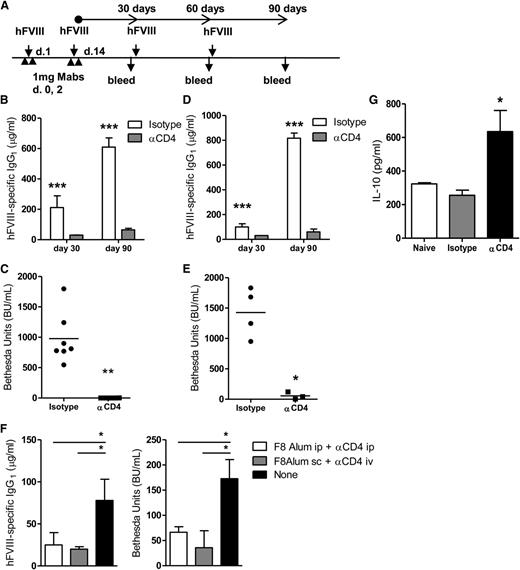 Figure 3. Nondepleting anti-CD4 induces long-term protection from inhibitor formation in HemA mice. (A) HemA mice were treated with 1 U hFVIII or HFVIII-alum and 2 × 1 mg nondepleting anti-CD4 (or isotype control) on the indicated days, followed by subsequent administrations of 1 U hFVIII as represented. The presence of serum hFVIII-specific immunoglobulin was investigated at days 30, 60, and 90 following last administration of anti-CD4. (B) Quantification of serum hFVIII-specific IgG1 from C57Bl/6 HemA mice at days 30 and 90, following multiple exposures to hFVIII (n = 8; ***P < .001). (C) Quantification of FVIII inhibitors from the serum of C57Bl/6 mice at day 90 (n = 8; **P < .01). (D) Serum hFVIII-specific IgG1 from BALB/c HemA mice (n = 4; **P < .01). (E) Quantification of hFVIII inhibitors from BALB/c HemA mice (n = 4; *P < .05). (F) C57Bl/6 HemA mice were treated on days 1 and 14 with hFVIII-alum (intraperitoneally or subcutaneously) and anti-CD4 (intraperitoneally or intravenously). A control group remained untreated. Subsequent challenges were done by intravenous administration of hFVIII, in a total of 4 injections, given twice weekly starting on day 21. Quantification of the anti-hFVIII IgG1 levels and BU, measured 1 week after the final exposure to hFVIII (n = 6; *P < .05). (G) Quantification of IL-10 concentration in supernatants of splenocytes from C57Bl/6 HemA mice, collected at day 7 following initial treatment with HFVIII-alum plus anti-CD4. The splenocytes were stimulated with anti-CD3 for 3 days (n = 3; *P < .05). Data are representative of 2 independent experiments. ip, intraperitoneal; iv, intravenous; sc, subcutaneous.
