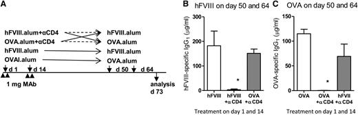 Figure 4. Nondepleting anti-CD4–treated mice remain immune competent. (A) C57Bl/6 mice were treated as described previously with anti-CD4, but using FVIII-alum or OVA-alum as the tolerizing antigen administered at the time of mAb treatment. Five weeks following the last mAb infusion, the mice were exposed to the same or to the other antigen. Control groups were not treated with anti-CD4. (B) Some mice were immunized with hFVIII-alum on days 50 and 64, and serum hFVIII-specific IgG1 was quantified at day 73. We found that unlike mice initially treated with OVA-alum plus anti-CD4, mice treated with hFVIII-alum plus anti-CD4 remained unresponsive to the subsequent immunization with hFVIII-alum (n = 4; *P < .05). (C) Other mice were immunized at days 50 and 64 with OVA-alum, and serum OVA-specific IgG1 was quantified on day 73. Animals initially treated with hFVIII-alum plus anti-CD4 remained competent to respond to immunization with OVA-alum, unlike mice initially treated with OVA-alum plus anti-CD4 that remained tolerant to OVA (n = 4; *P < .05). Data are representative of 2 independent experiments.