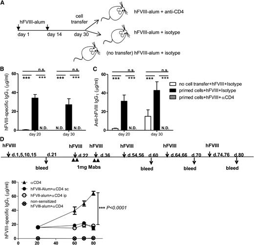 Figure 5. Anti-CD4 mAb is effective in inducing tolerance following sensitization. (A) C57Bl/6 mice were sensitized with hFVIII-alum on days 1 and 14 and sacrificed on day 30. Leukocytes from spleen, pooled lymph nodes, and bone marrow were collected and adoptively transferred intravenously into congenic Rag2−/− or C57Bl/6 recipients. The recipient mice were then treated with hFVIII-alum plus anti-CD4 mAb (or an isotype control) on the day of cell transfer and 14 days later (consistent with protocol represented in Figure 1A), and all groups of mice were subsequently challenged with 3 × 1 U hFVIII on days 10, 12, and 14 following the last administration of anti-CD4. (B) Quantification of serum hFVIII-specific IgG1 in Rag2−/− recipient mice. Animals that received primed T and B cells were competent to produce anti-hFVIII IgG1 (n = 5; ***P < .001), but antibody production was abrogated in mice treated with anti-CD4 (n = 5; ***P < .001). (C) Concentration of serum hFVIII-specific IgG1 in C57Bl/6 mice transferred with primed T and B cells. Animals adoptively transferred with primed cells produced higher levels of hFVIII-specific IgG1 than animals that did not received primed cells (n = 5; ***P < .001). Treatment with anti-CD4 prevented production of hFVIII-specific IgG1 by the primed lymphocytes (n = 5; ***P < .001). Data are representative of 2 independent experiments. (D) C57Bl/6 mice were sensitized with hFVIII on days 1, 5, 10, and 15 and treated with hFVIII-alum and anti-CD4 (intraperitoneally or subcutaneously) on days 22 and 36. Control mice received anti-CD4 without hFVIII. One control group had not been previously exposed to hFVIII. All mice received hFVIII intravenously on days 54, 56, 64, 66, 74, and 76. Anti-hFVIII IgG1 was quantified on the indicated days. Mice treated with hFVIII-alum plus anti-CD4 (regardless of the route of administration) were protected from production of anti-hFVIII IgG1 following subsequent exposure to hFVIII (n = 6; ***P < .001). ip, intraperitoneal; N.D., not detected; sc, subcutaneous.