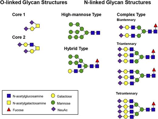 Figure 1. Examples of typical N- and O-linked glycan structures expressed on human plasma glycoproteins.