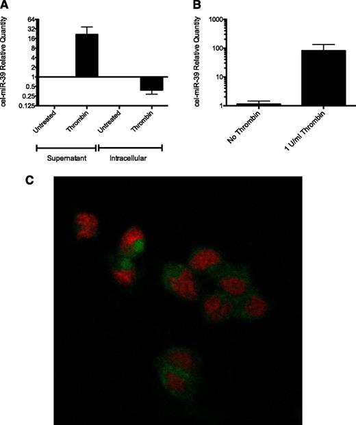Figure 2. Activated platelets transfer miRNA to endothelial cells in vitro. (A) Relative quantity of intracellular and secreted cel-miR-39 from resting and activated platelets is shown. Expression data are normalized to an exogenous miRNA spike in for the supernatant and to U6 RNA for the intracellular levels (n = 3). (B) Relative quantity of cel-miR-39 in HMEC-1 cells cocultured with transfected platelets after 3 hours of coculture in the presence or absence of 1 U/mL thrombin (n = 3). Levels are presented relative to miR-16 and normalized against the mean of the cells without thrombin. (C) Representative confocal image of HMEC-1 cells cocultured with miR-Scr-FITC transfected platelets in the presence of 1 U/mL thrombin. Nuclei are stained red.