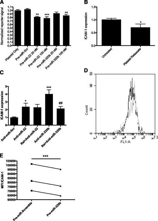 Figure 5. Function of miR-320b in endothelial cells. (A) Reporter gene signal from HEK293 cells transfected with 10 ng of a reporter plasmid containing the 3′-UTR of ICAM-1 and 20 or 100nM precursor miRNA corresponding to miR-22 or miR-320b and 10 ng of a reporter plasmid containing the 3′-UTR of ICAM-1. The reporter signal (Firefly luciferase) was normalized to Renilla luciferase to account for differences in transfection efficiency and expressed relative to the mean of the cells transfected with plasmid alone. Data come from 3 separate experiments with each sample run in triplicates. **P < .01; ***P < .001. (B) The level of ICAM-1 expression in HMEC-1 cells cultured for 24 hours in the presence of 20% platelet releasate. Gene expression was measured by qRT-PCR and is presented relative to the expression of cyclophilin A and normalized against the mean of the untreated control samples. Data from 3 separate experiments using triplicates are presented. *P < .05. (C) The levels of ICAM-1 in HMEC-1 cells upon treatment with 100nM scrambled anti-miRNA (anti-miR-Scr), anti-miR-22, or -320b in the presence or absence of 20% platelet releasate. Expression data are handled as mentioned previously (n = 6). *P < .05; ***P < .001 comparing cells treated with anti-miR-scr and anti-miR in the absence of platelet releasate; ##P < .01, comparing cells treated with anti-miR in the absence of releasate with cells treated with a combination of anti-miR and releasate. (D) Representative FACS plot of HMEC-1 cells transfected with 100nM pre-miR-320b (black line) or scrambled control pre-miRNA (gray line) and stained with a FITC-conjugated monoclonal antibody to ICAM-1. FL-1 fluorescence intensity reflects the surface expression of ICAM-1. (E) Surface expression of ICAM-1 in HMEC-1 (n = 3) transfected with 100nM pre-miR-320b or scrambled control pre-miRNA assessed with flow cytometry. ICAM-1 levels are expressed as the mean fluorescence intensity (MFI).***P < .001.