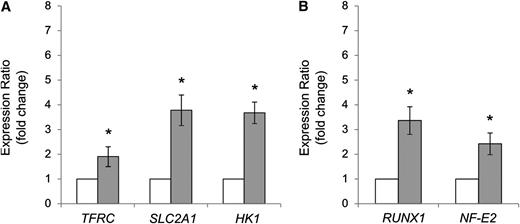 Figure 3. Relative expression of HIF target genes induced by hypoxia and AML1/RUNX1 and NF-E2 genes. (A) Expression of TFRC, SLC2A1, and HK1 genes and (B) AML1/RUNX1 and NF-E2 genes was evaluated by quantitative polymerase chain reaction in granulocytes isolated from homozygous patient for VHLP138L mutation (grey columns), and normal controls (n = 8, white columns). Data are normalized to HPRT and GAPDH reference genes. T bars = SEM. *P < .01.