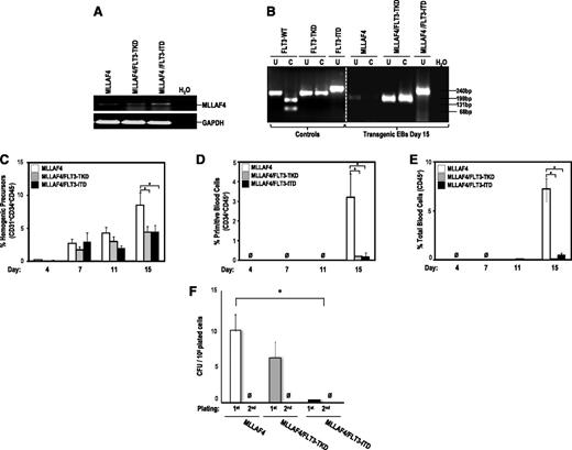 Figure 3. FLT3-activating mutations block hematopoietic differentiation from MLL-AF4-hESCs. (A) RT-PCR confirming stable expression of MLL-AF4 in transgenic day 15 hEBs. (B) PCR confirming the presence of either FLT3-TKD or FLT3-ITD mutations in transgenic day 15 hEBs. FLT3-activating mutations only impair late specification into hemogenic precursors of MLL-AF4–expressing hESCs (C) but completely block differentiation of MLL-AF4–expressing hESCs into primitive blood cells (D) and total blood cells (E). (F) CFU readout from d15 hEBs confirms a significant decrease in hematopoietic potential in hESCs coexpressing MLL-AF4 and FLT3 mutations. Data are presented as mean ± SEM for 9 independent experiments. MLL-AF4/FLT3 mutation–expressing hESC-derived hematopoietic cells do not show stable in vitro replating efficiency in secondary CFU assays.