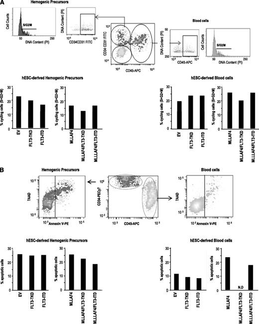 Figure 4. Cell cycle and apoptosis analysis reveal that the effect of FLT3 mutations alone or in combination with MLL-AF4 on hESC hematopoietic specification is independent of proliferation or survival. (A) Top, representative flow cytometric analysis showing how cell cycle analysis was analyzed in hemogenic precursors and hematopoietic cells. Bottom, similar proportion of cycling (S+G2+M) hemogenic precursors (left) and hematopoietic cells (right) among the distinct transgenic hESCs. (B) Top, representative flow cytometric analysis showing how apoptosis was analyzed in hemogenic precursors and hematopoietic cells. Bottom, similar proportion of apoptotic (Annexin V+) hemogenic precursors (left) and hematopoietic cells (right) among the distinct transgenic hESCs. N.D: not determined because of the complete absence of CD45+ cells for analysis.