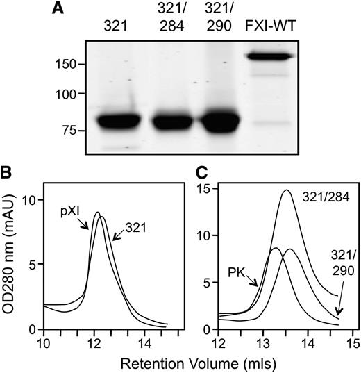 Figure 2. Recombinant fXI. (A) Recombinant fXIC321S (321), fXIC321S,L284A (321/284), and fXIC321S,I290A (321/290) appear as 80-kDa monomers on 7.5% nonreducing SDS-PAGE because they lack the Cys321-Cys321 interchain disulfide bond that connects the 2 subunits of the dimer in fXIWT (160-kDa band at right). Positions of molecular mass standards (kDa) are indicated at the left of the panel. Size-exclusion chromatography of (B) plasma fXI (pXI) and fXIC321S (321) or (C) fXIC321S,L284A (321/284), fXIC321S,I290A (321/290) and plasma PK. Shown are continuous readouts of optical density (280 nm) of solutions exiting a Superose-12 size exclusion column (flow rate 1.0 mL/min). Protein retention volumes in milliliters are indicated below the curves.