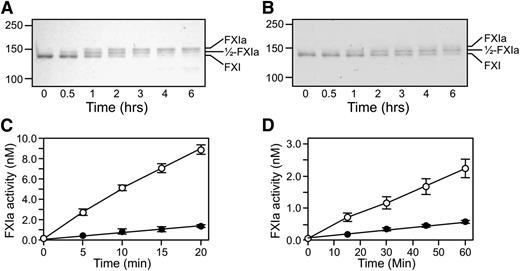 Figure 4. Activation of plasma fXI. (A-B) Plasma fXI (600 nM) was incubated at 37°C with (A) 60 nM fXIIa or (B) 600 nM α-thrombin. Samples of each reaction were quenched in nonreducing sample buffer at the indicated times and size fractionated on 6% polyacrylamide-SDS gels. Positions for markers and protein standards for fXI, fXIa, and 1/2-fXIa are indicated. (C-D) Activation of 100 nM fXI (white circles) or 200 nM 1/2-fXIai (black circles) by (C) fXIIa (10 nM) or (D) α-thrombin (50 nM). At various times, samples were tested for enzymatic activity by measuring cleavage of the chromogenic substrate S2366 (500 μM), as described in the Methods section. Error bars represent 1 standard deviation. The concentration of 1/2-fXIai was 200 nM in the activation assay to generate sufficient signal to detect in the chromogenic substrate assay. Reactions performed with 100 nM 1/2-fXIai would have slopes 1/2 as great as those for the progress curves shown.