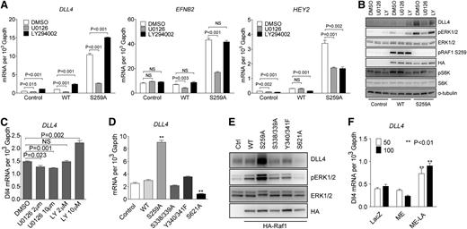 Figure 3. RAF1 controls arterial gene expression via ERK signaling. (A) Effect of MEK and PI3K inhibition on arterial gene expression. HUVECs transduced with control, WT RAF1 or RAF1S259A lentiviruses were treated with DMSO, MEK inhibitor U0126 (10 μM), or PI3K inhibitor LY294002 (10 μM) for 24 hours. DLL4, EFNB2, and HEY2 expression was assessed by qPCR. Data represent mean ± SEM of 3 independent experiments. (B) Immunoblot of Control, RAF1 WT and S259A lentivirus-infected HUVECs were treated with DMSO, MEK inhibitor U0126, or PI3K inhibitor LY294002. (C) DLL4 qPCR of HUVECs treated with DMSO, MEK inhibitor U0126, or PI3K inhibitor LY294002 at indicated doses. (D) qPCR of HUVECs infected with control, WT RAF1, S259A, S338/339A, Y340/341F, or S621A lentiviruses. (E) Immunoblot of HUVECs infected with indicated lentiviruses. (F) DLL4 qPCR of HUVECs infected with ad-lacz, ME, or ME-LA adenoviruses. *P < .05; **P < .01. mRNA, messenger RNA; NS, not significant.