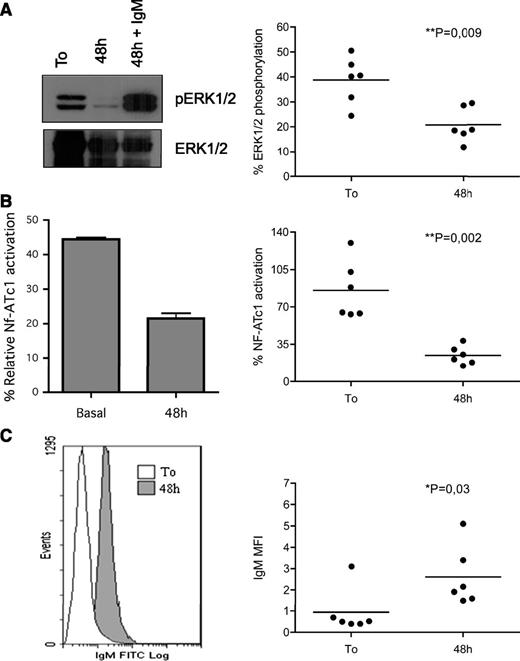 Figure 2. Biochemical signature of B-cell anergy is a reversible event. Cells from 6 different anergic samples were cultured for 48 hours. ERK1/2 phosphorylation (A), NF-ATc1 nuclear translocation (B), and IgM expression levels (C) were analyzed both immediately after purification and after 48 hours of cell culture. Each figure shows one representative case (left) and the dot plot analysis of all the analyzed samples (right).