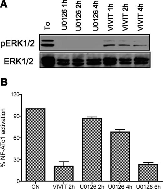 Figure 3. Small chemical compounds: analysis of target inhibition. CLL cells were treated with 10μM U0126 or VIVIT for increasing time points (as indicated). ERK1/2 activation was measured by western blot (A) and NF-ATc1 nuclear translocation was quantified by specific enzyme-linked immunosorbent assay (B). NF-ATc1 values are normalized to the untreated control.