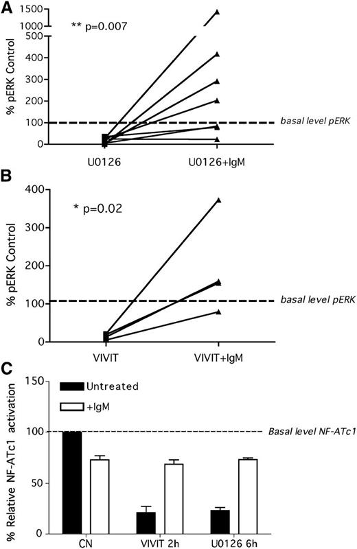 Figure 4. Signaling inhibitors: how to reprogram antigen response. Inhibition of both ERK1/2 and NF-ATc1 by treatment with U0126 and VIVIT, respectively, reverse the anergic phenotype and restore the ability of CLL cells to respond to anti-IgM stimulation in vitro. CLL cells were treated with U0126 (1 hour; A) or with VIVIT (4 hours; B), washed, and left untreated or stimulated for an additional 5 minutes with anti-IgM antibodies. The phosphorylation status of ERK1/2 was analyzed by western blotting, and band intensity was quantified by densitometry. pERK1/2 values are normalized to the control-untreated sample. (C) CLL cells were treated with U0126 (6 hours) or with VIVIT (2 hours), washed, and stimulated for additional 20 minutes with anti-IgM antibodies. NF-ATc1 activation was measured by specific ELISA assay. NF-ATc1 values are normalized to the untreated control.